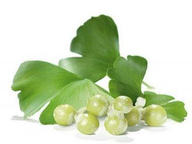 Male potency becomes more powerful after using Ginkgo biloba